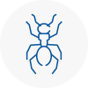Ant Removals In Seaford