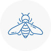 Bee Nest Removal Seaford