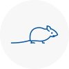 Mice Exterminators In Seaford