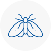 Moth Control Specialists In Seaford