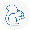 Seaford Rodent Removals